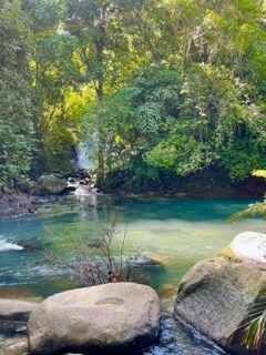 Visiter le parc national Khao Sok